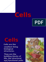 Cells