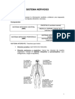 copia-de-sistema_nervioso_alonso1.pdf