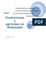 58134696-Producciones-Agricolas-en-Venezuela.docx