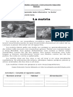 Ficha de Aprendizaje La Nutria.