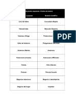 Lista Plantas de Sombra y Herbaceas Silvestres