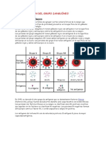 Determinacin Del Grupo Sanguneo