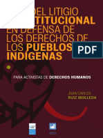 Guía Del Litigio Constitucional en Defensa de Los Derechos de Los Pueblos Indígenas.