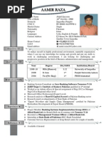 Download Aamir Cv by Aamir Raza SN33286714 doc pdf