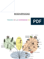 Biodiversidad en Peligro