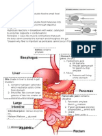 7.4-Chemical-Digestion.docx