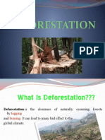 Deforestation Presentation 2010