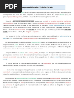 Responsabilidade Civil Do Estado