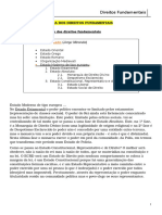 260868938-Sebenta-Direitos-Fundamentais.pdf