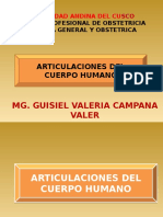 Articulaciones Del Cuerpo Humano