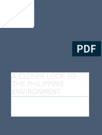 A Closer Look To The Philippinie Environment