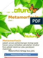 Metamorfosis hewan