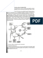 Cap.6.1.-Utilizarea Scheletului de Carbon Al Aminoacizilor PDF