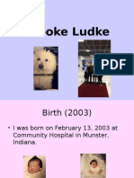 Ludke Timeline