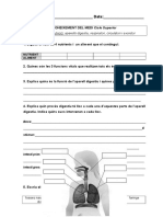 Examen Funció de Nutrició