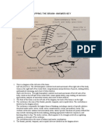 In-Class 4 - Brain Map Key