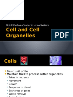 cell and cell organelles