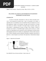 Relatório Aula Prática de Fenômenos de Transporte Experimento de Reynolds