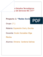 “Redes Sociales” 1er. Parcial. Proyecto 1.