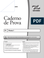 P1.pdf