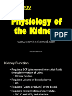 Physiology of The Kidneys
