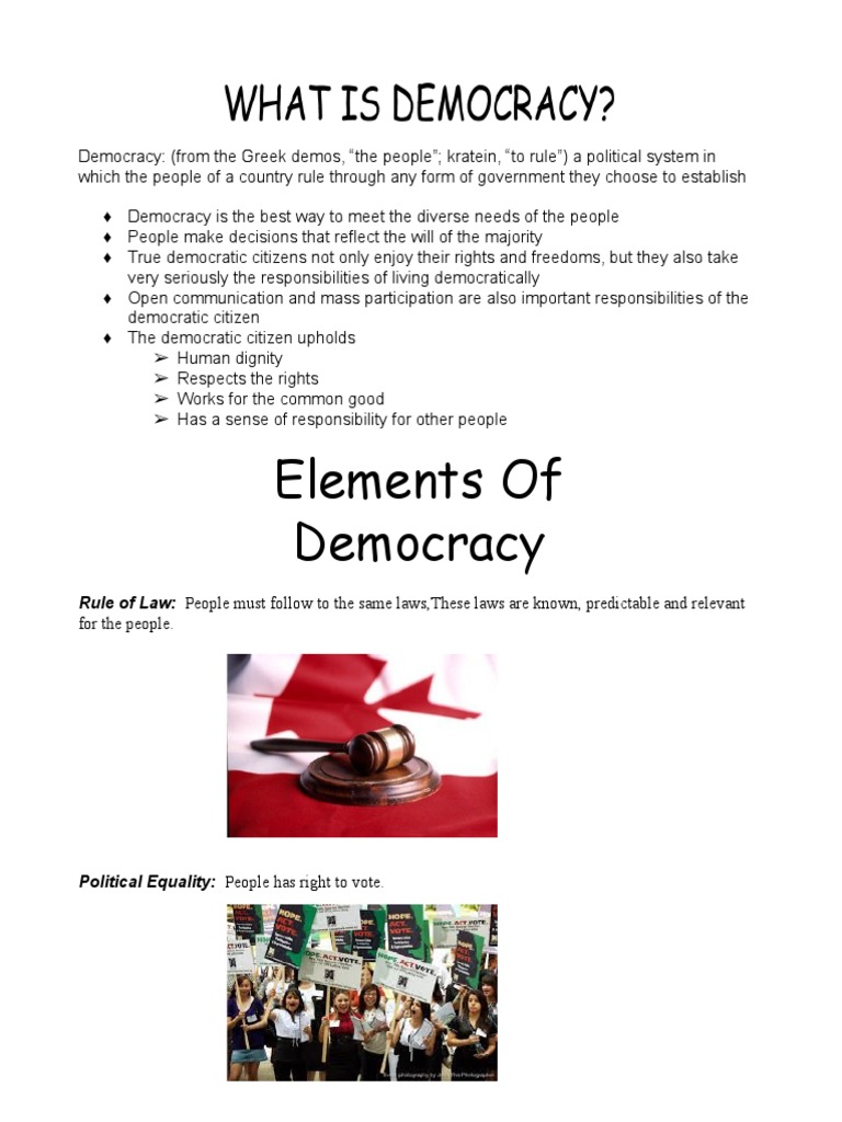 Elements of Democracy PDF