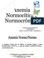 Aula 4 - Anemia Normo-normo