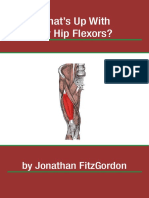 What S Up With My Hip Flexors Ebook