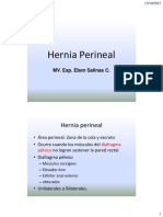 Hernia perineal canina: diagnóstico y tratamiento quirúrgico