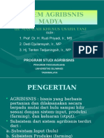 Sistem Agribisnis Madya.pptx