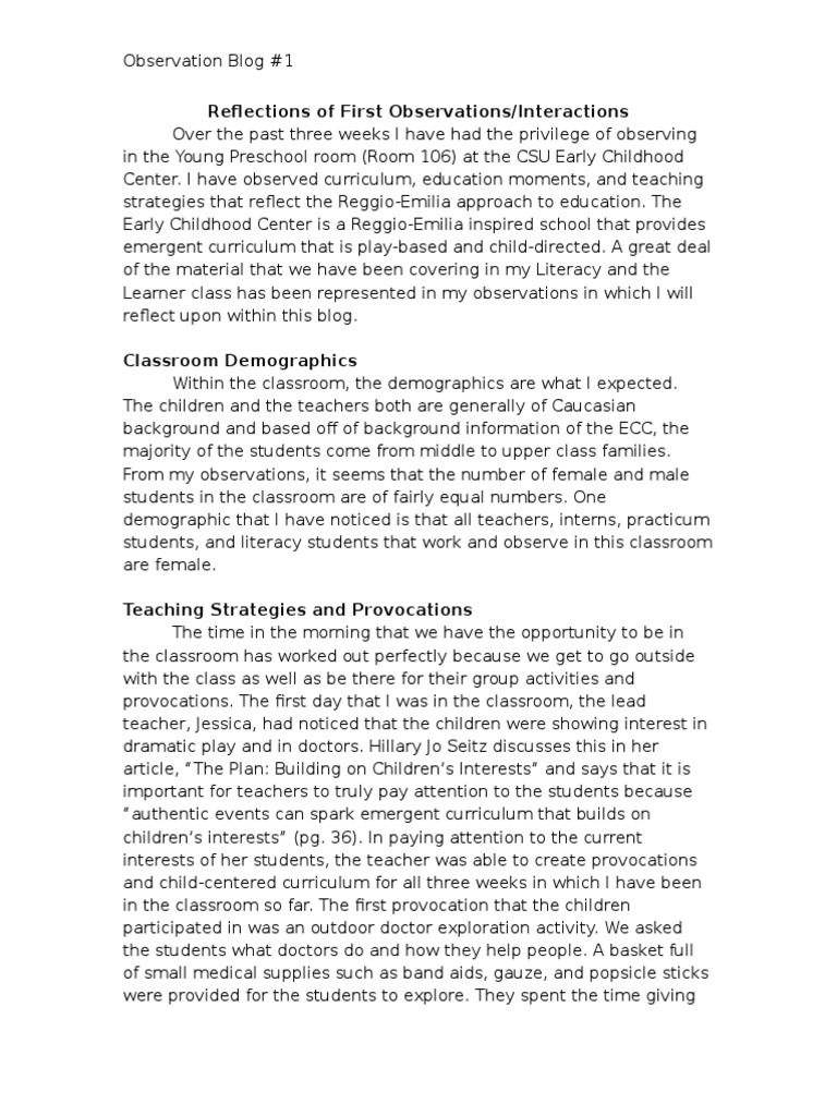 Trial observation essay image