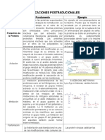 Modificaciones Postraducionales