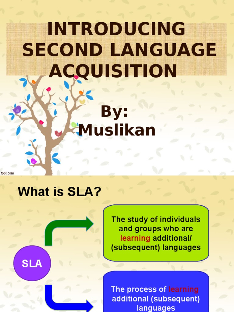 Introduction To SLA in University Level | PDF | Second Language ...