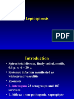 Leptospirosis