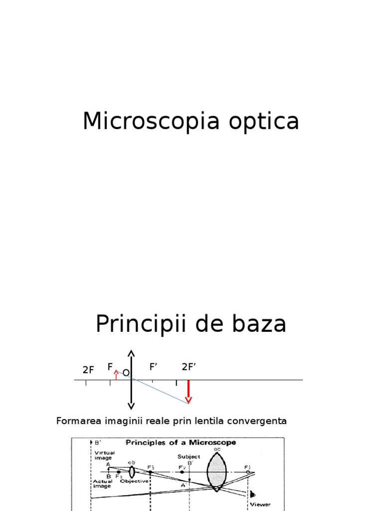Microscopia Optica LP | PDF
