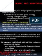 CELL INJURY, DEATH, AND ADAPTATION: CAUSES AND MECHANISMS