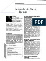 A Doença de Addison No Cão