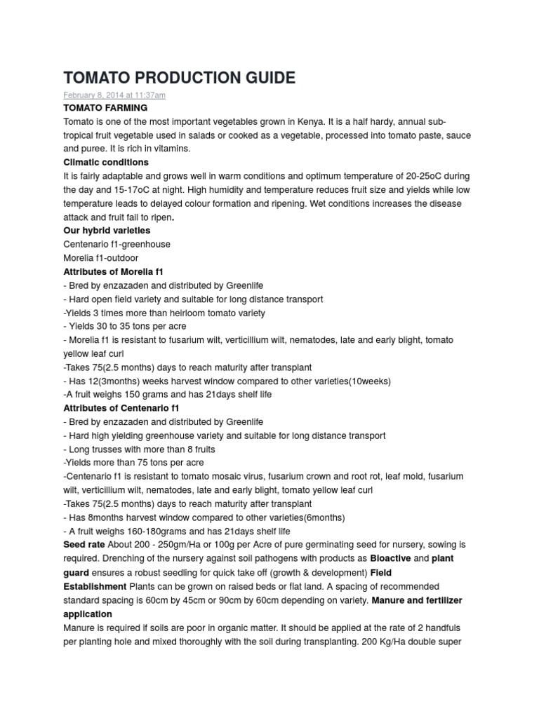 A Comprehensive Guide to Successful Tomato Farming Optimizing