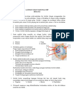 Soal Un SMP - Biologi