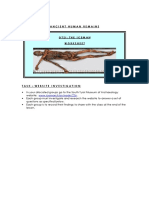 Iceman Worksheet PDF