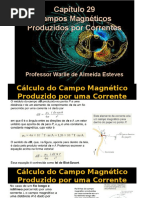 Campos Magnéticos Produzidos por Correntes, Halliday, Cap. 29.pptx