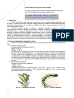 Reducerea Emisiilor de CO2 Cu Ajutorul Algelor