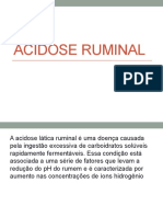 Acidose Ruminal