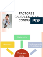 Factores causales conducta: biológicos, psicológicos y sociales