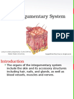 Integumentary