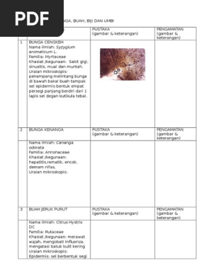 Rus yalangoch semiz ayol fotosurati