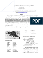 Anatomi Komparatif Sistema Digestivus antara Musang dan Kucing.docx