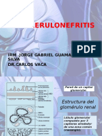 Jorge Guamancuri Glomerulonefritis