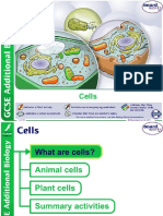 Cells