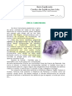 4. Lírica Camoniana - Ficha Informativa.pdf
